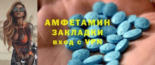 сатива Инсар