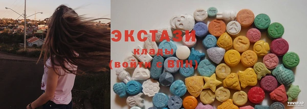 дмт Инта