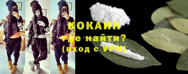 дмт Инта