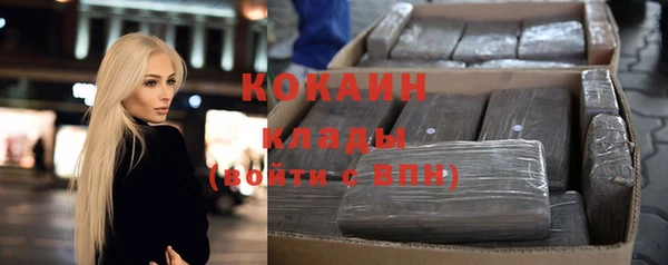 дмт Инта