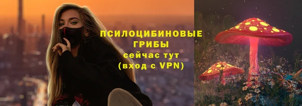 сатива Инсар