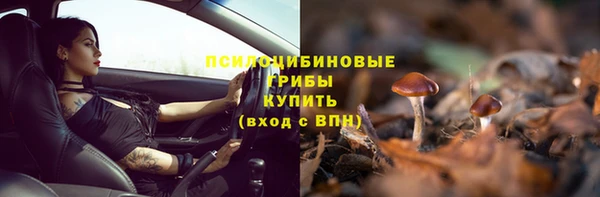 мет Каменногорск