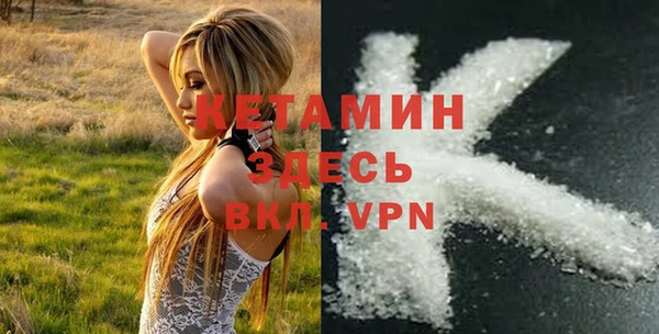 сатива Инсар