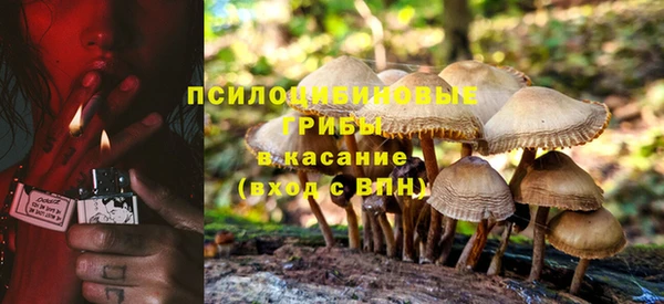 ALPHA PVP Иннополис