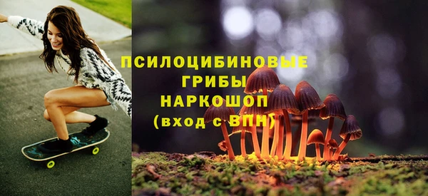 мет Каменногорск