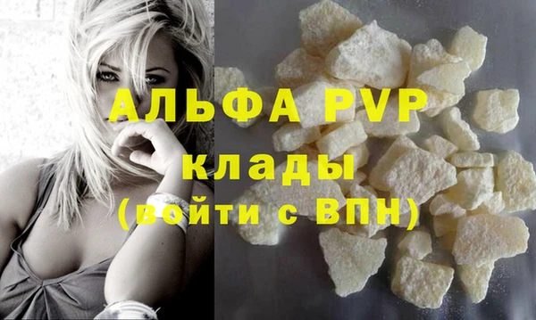 дмт Инта