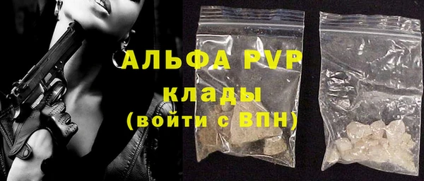 сатива Инсар