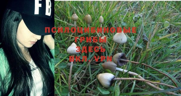 сатива Инсар