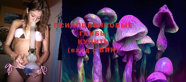 дмт Инта