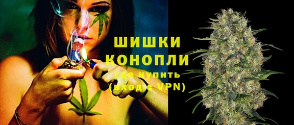 дмт Инта