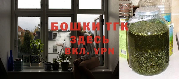 дмт Инта