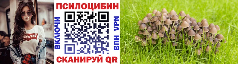 Галлюциногенные грибы мицелий  Ува 